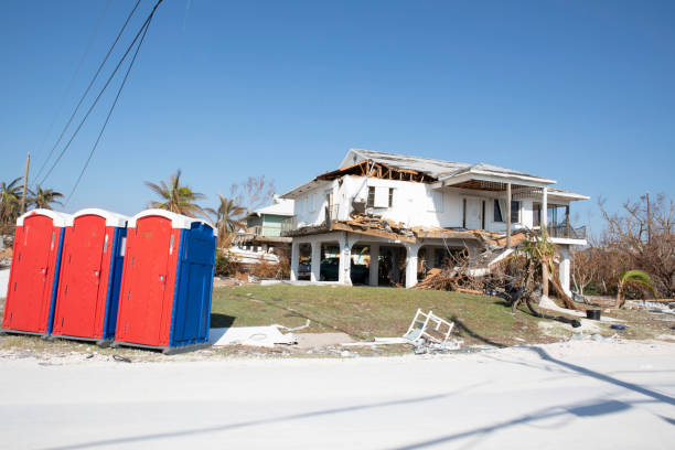  Edgewater, CO Tree Removal Pros